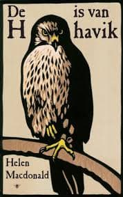Cover van De H is van havik