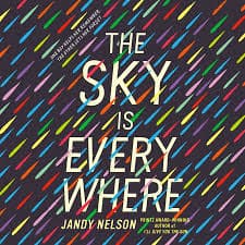 Cover van The Sky is Everywhere